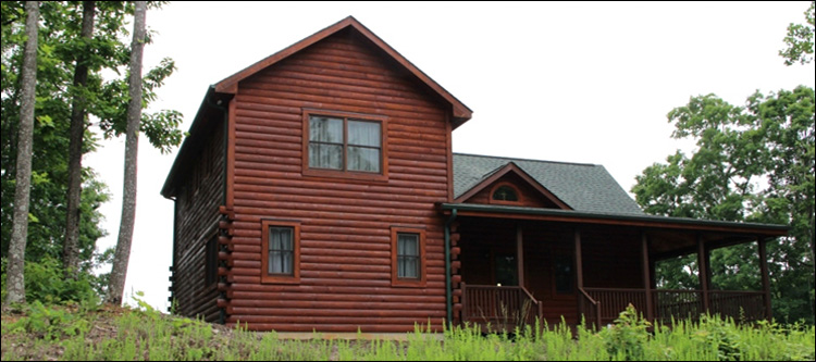 Professional Log Home Borate Application  Clay County,  North Carolina