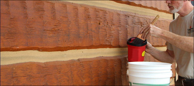 Professional Log Home Staining  Warne,  North Carolina